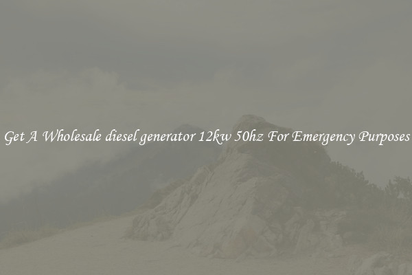 Get A Wholesale diesel generator 12kw 50hz For Emergency Purposes