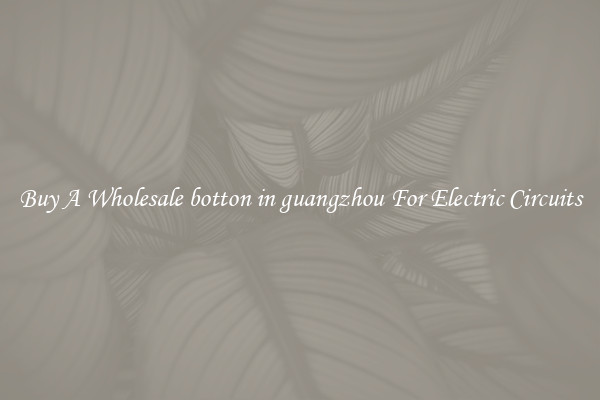Buy A Wholesale botton in guangzhou For Electric Circuits