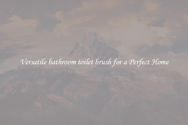 Versatile bathroom toilet brush for a Perfect Home