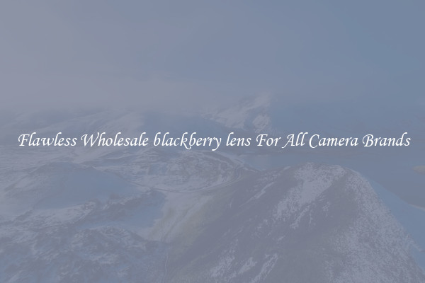 Flawless Wholesale blackberry lens For All Camera Brands