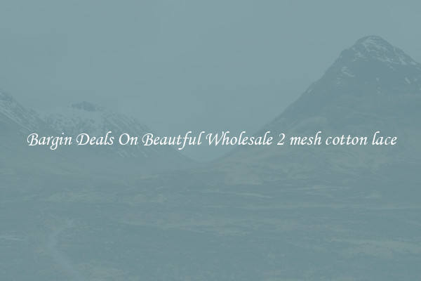 Bargin Deals On Beautful Wholesale 2 mesh cotton lace