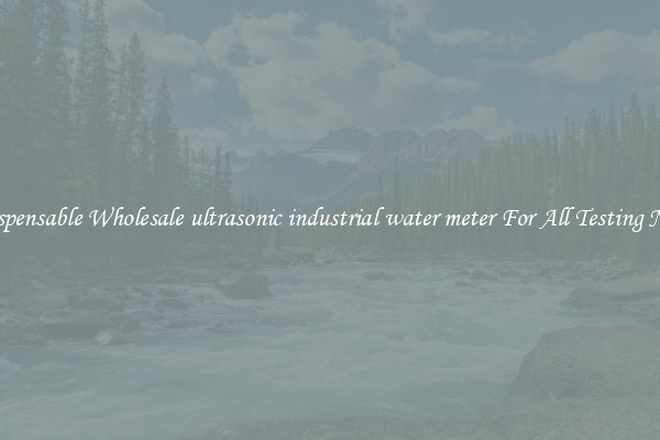Indispensable Wholesale ultrasonic industrial water meter For All Testing Needs