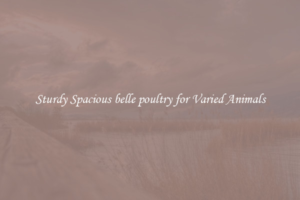 Sturdy Spacious belle poultry for Varied Animals