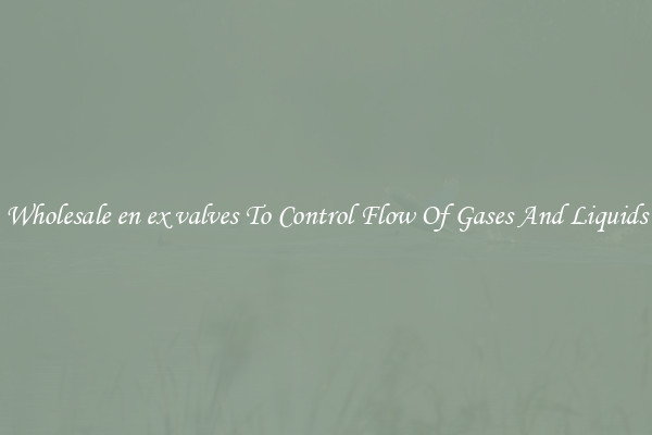 Wholesale en ex valves To Control Flow Of Gases And Liquids