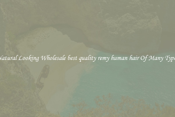 Natural Looking Wholesale best quality remy human hair Of Many Types