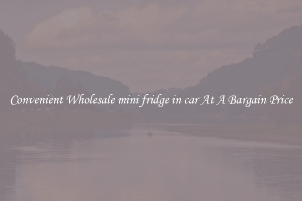 Convenient Wholesale mini fridge in car At A Bargain Price