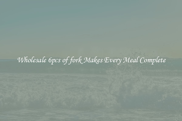 Wholesale 6pcs of fork Makes Every Meal Complete