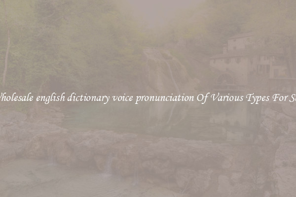 Wholesale english dictionary voice pronunciation Of Various Types For Sale