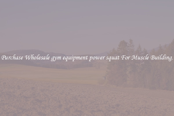Purchase Wholesale gym equipment power squat For Muscle Building.