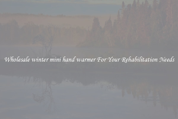 Wholesale winter mini hand warmer For Your Rehabilitation Needs