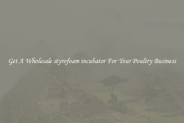 Get A Wholesale styrofoam incubator For Your Poultry Business