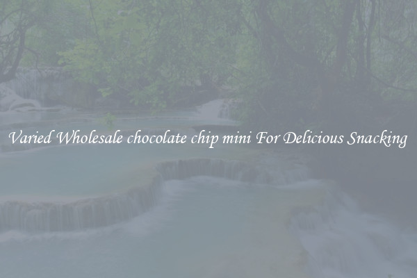 Varied Wholesale chocolate chip mini For Delicious Snacking 