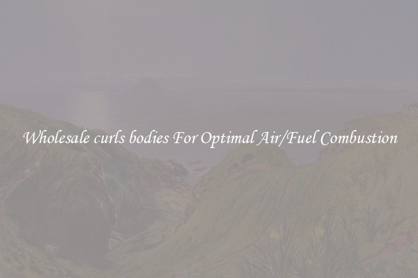 Wholesale curls bodies For Optimal Air/Fuel Combustion