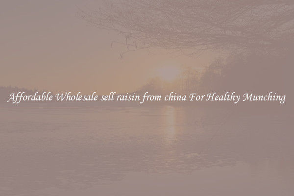 Affordable Wholesale sell raisin from china For Healthy Munching 