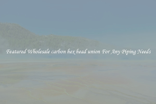 Featured Wholesale carbon hex head union For Any Piping Needs