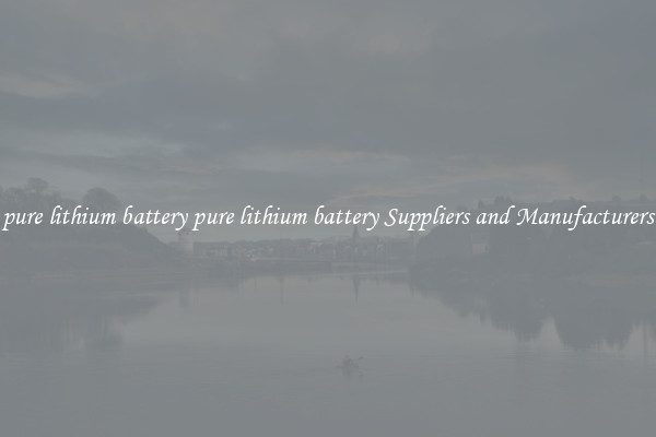 pure lithium battery pure lithium battery Suppliers and Manufacturers