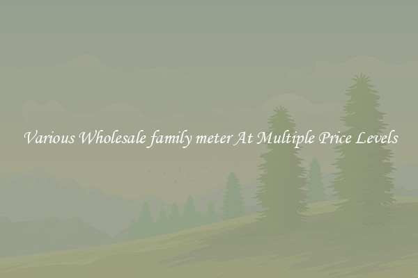 Various Wholesale family meter At Multiple Price Levels