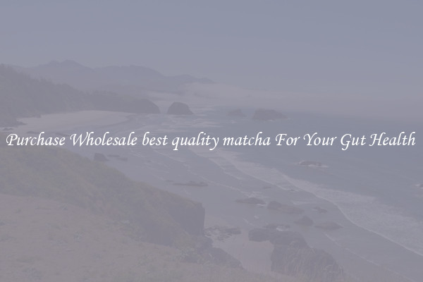 Purchase Wholesale best quality matcha For Your Gut Health 