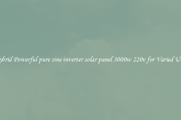 Hybrid Powerful pure sine inverter solar panel 3000w 220v for Varied Uses