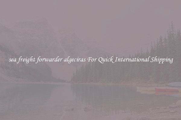 sea freight forwarder algeciras For Quick International Shipping