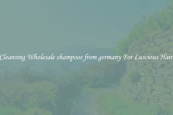 Cleansing Wholesale shampoos from germany For Luscious Hair.
