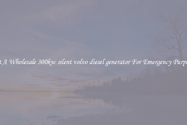 Get A Wholesale 300kw silent volvo diesel generator For Emergency Purposes